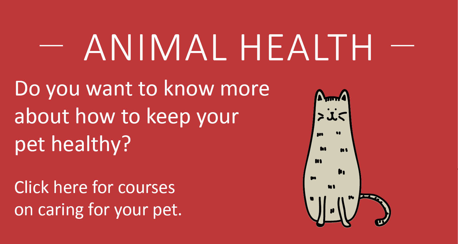 Courses in Animal Health